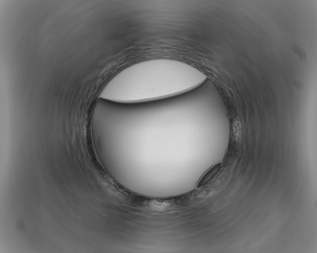 X0000113860570200909241028