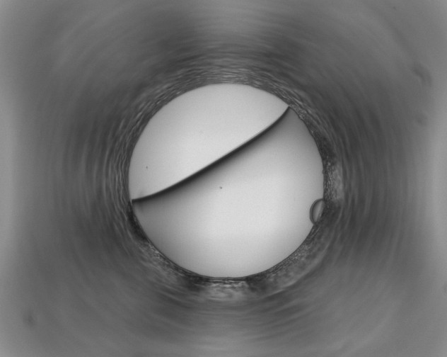 X0000113860571200909241028