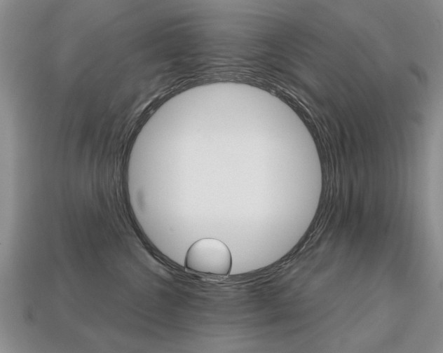 X0000113860572200909241028