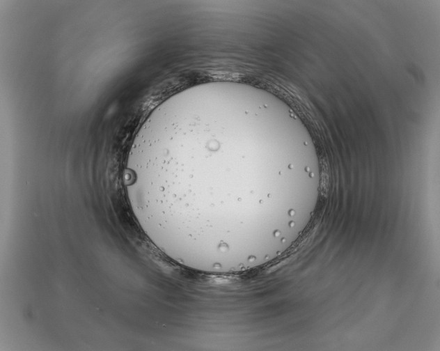 X0000113860573200909241028