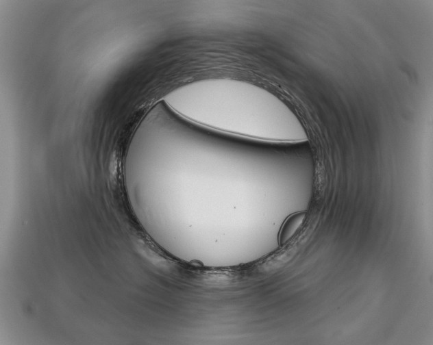 X0000113860574200909241028