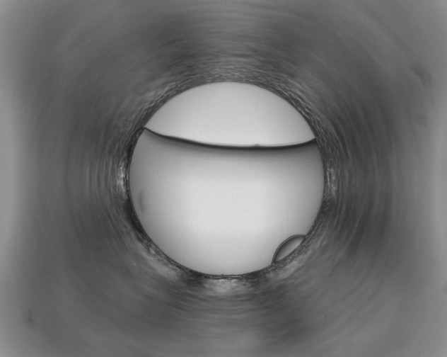 X0000113860575200909241028