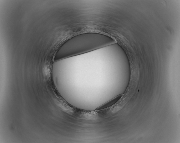 X0000113860576200909241028