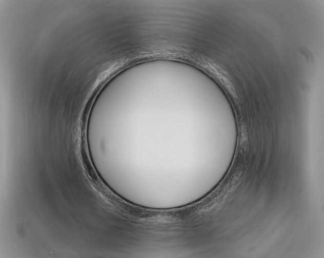 X0000113860578200909241027