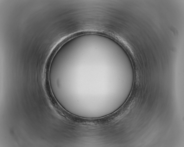 X0000113860580200909241027