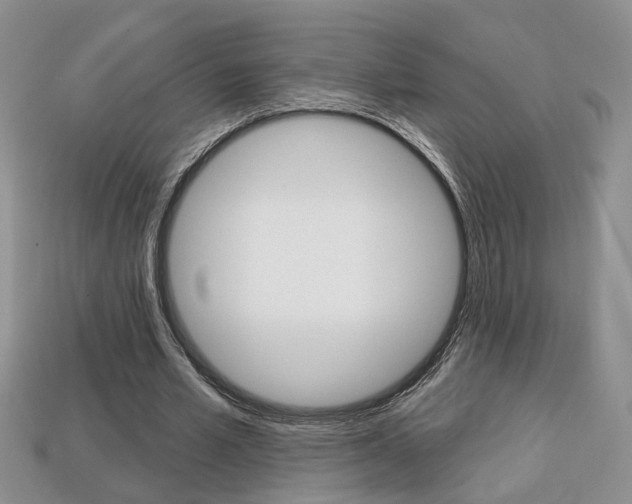 X0000113860581200909241027