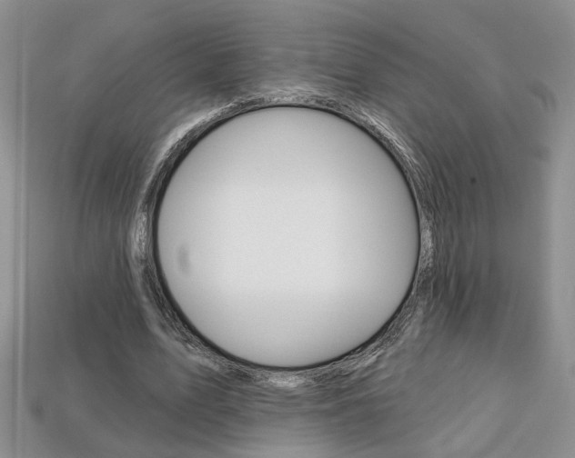 X0000113860583200909241027