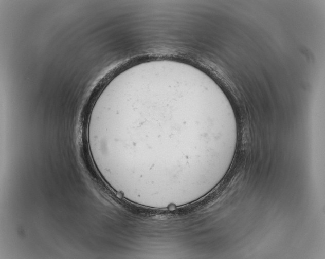 X0000113860584200909241027
