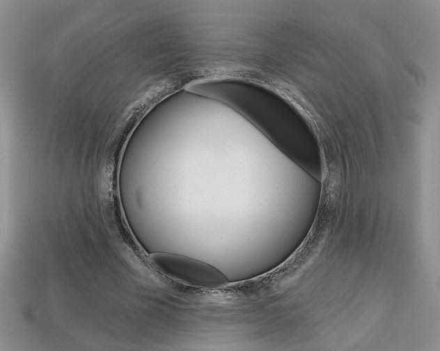 X0000113860585200909241027