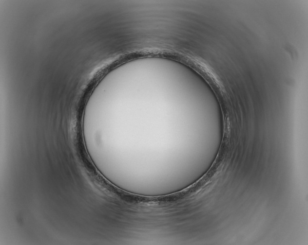 X0000113860588200909241027