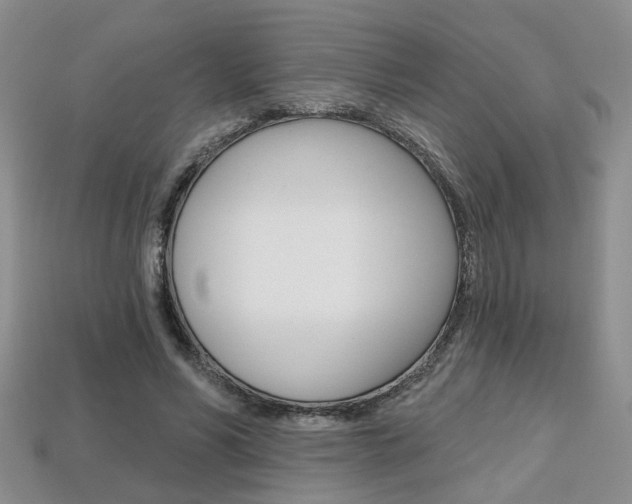 X0000113860590200909241027