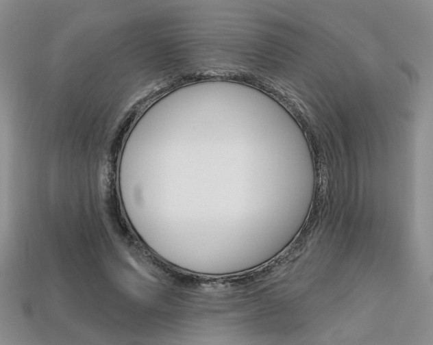 X0000113860591200909241027