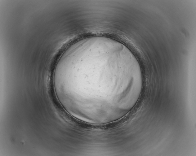 X0000113860592200909241027