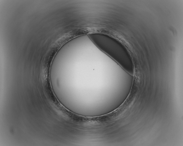 X0000113860593200909241027