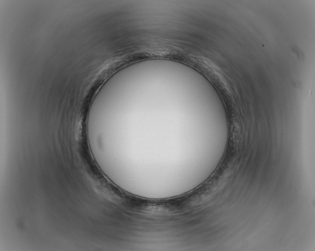 X0000113860596200909241027