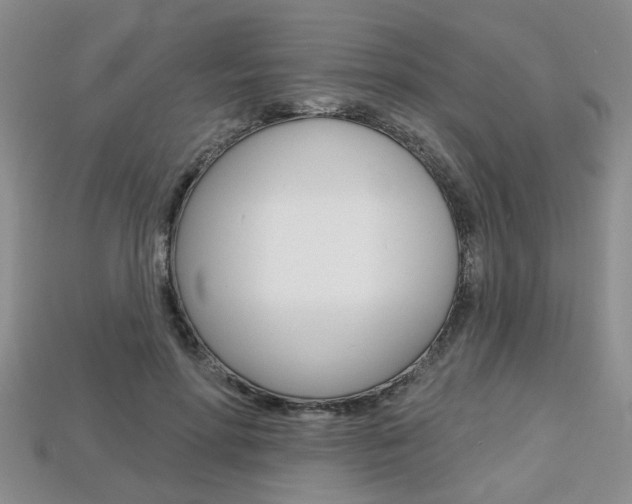 X0000113860598200909241027