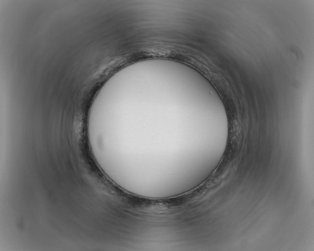 X0000113860600200909241027
