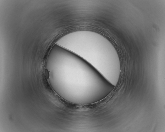 X0000113860601200909241027