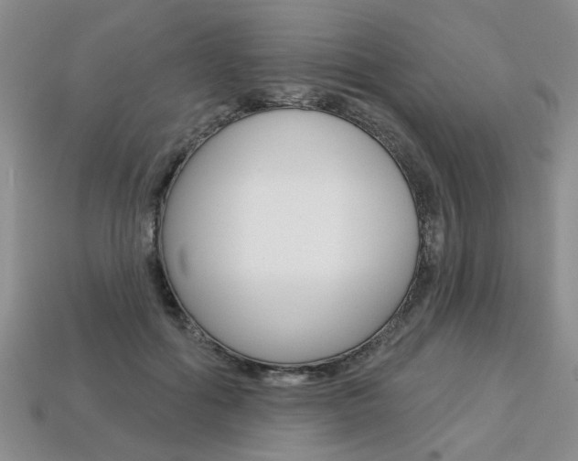 X0000113860602200909241027