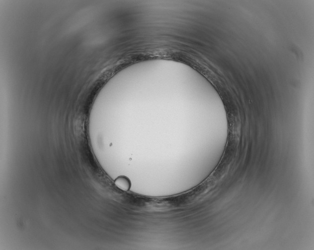 X0000113860603200909241027