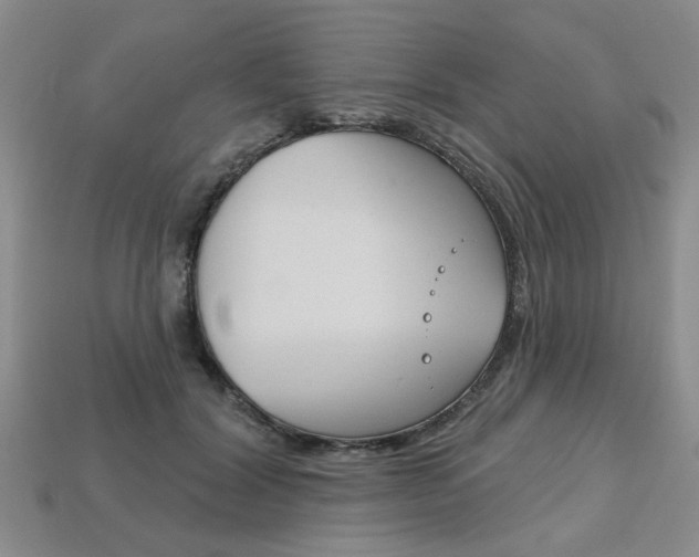X0000113860604200909241027