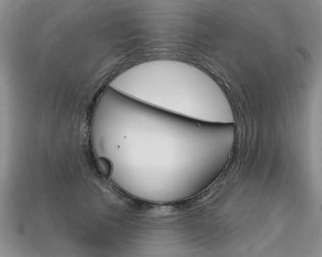 X0000113860609200909241027