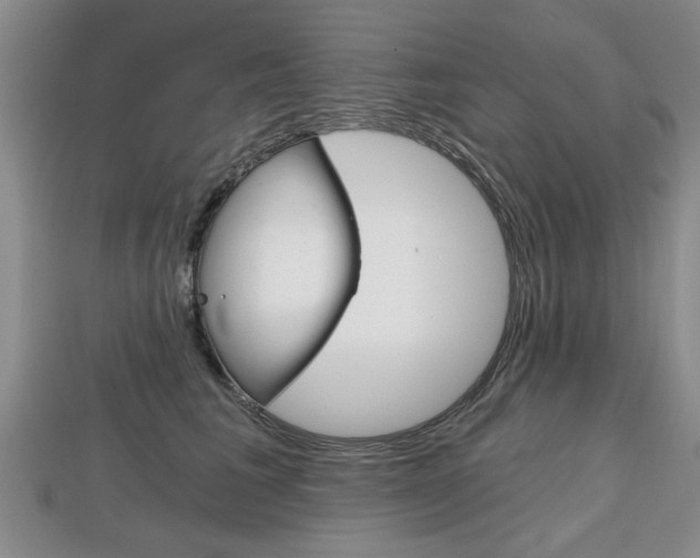 X0000113860613200909241027
