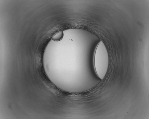X0000113860615200909241027