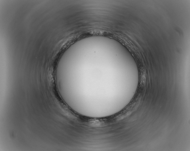 X0000113860616200909241027