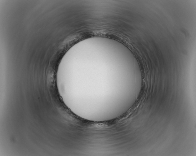 X0000113860619200909241027