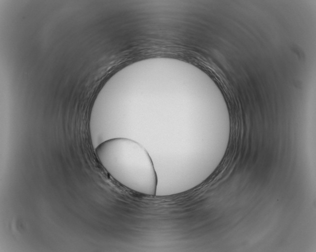 X0000113860621200909241027