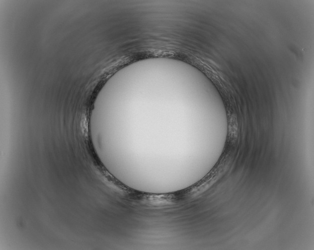 X0000113860622200909241027