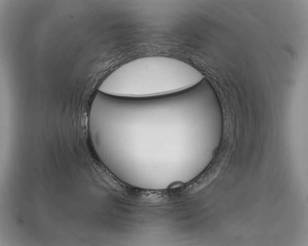 X0000113860624200909241027