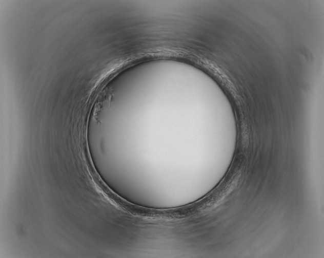 X0000113860625200909241026