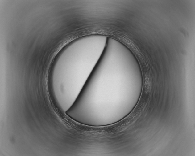 X0000113860626200909241026