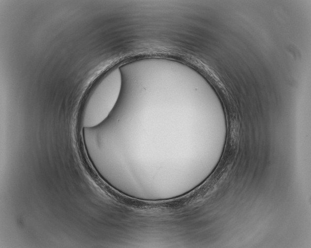 X0000113860629200909241026