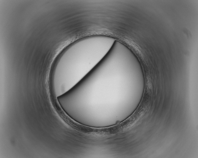 X0000113860630200909241026