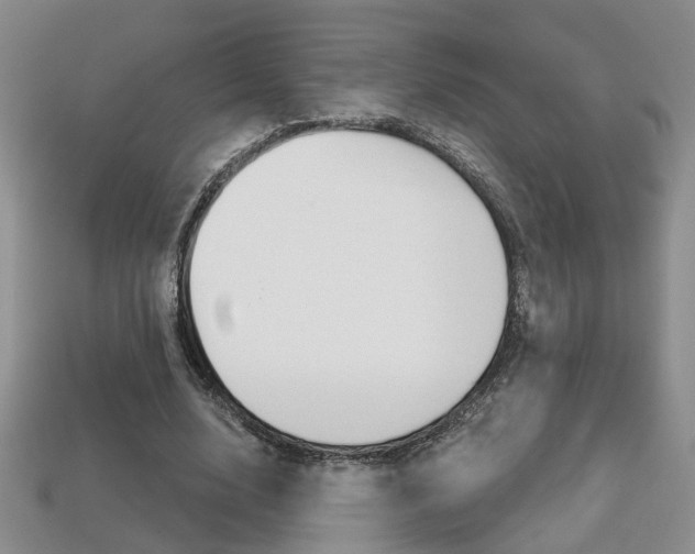 X0000113860632200909241026