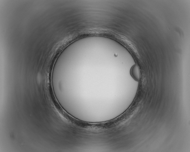 X0000113860633200909241026