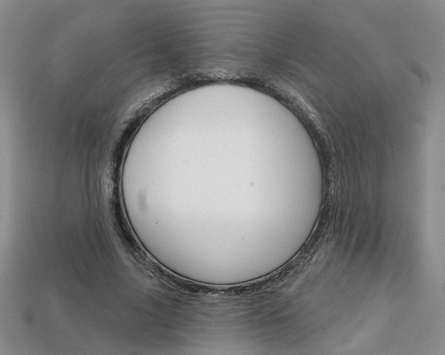 X0000113860635200909241026