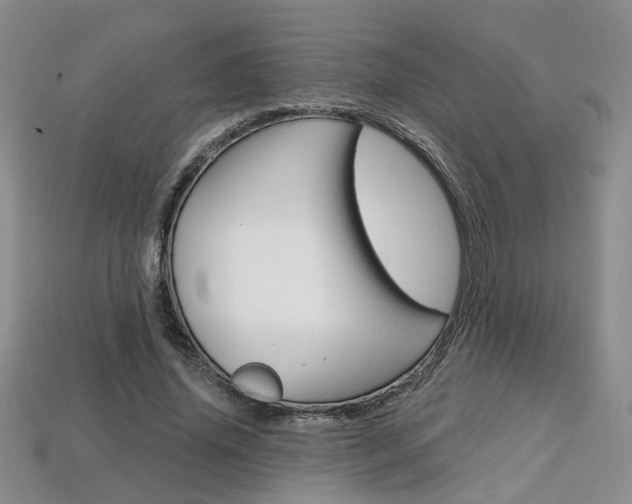 X0000113860636200909241026