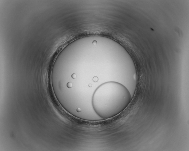 X0000113860638200909241026