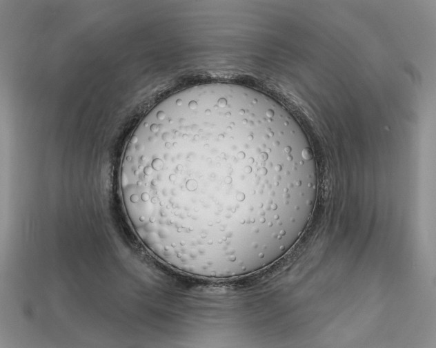 X0000113860639200909241026
