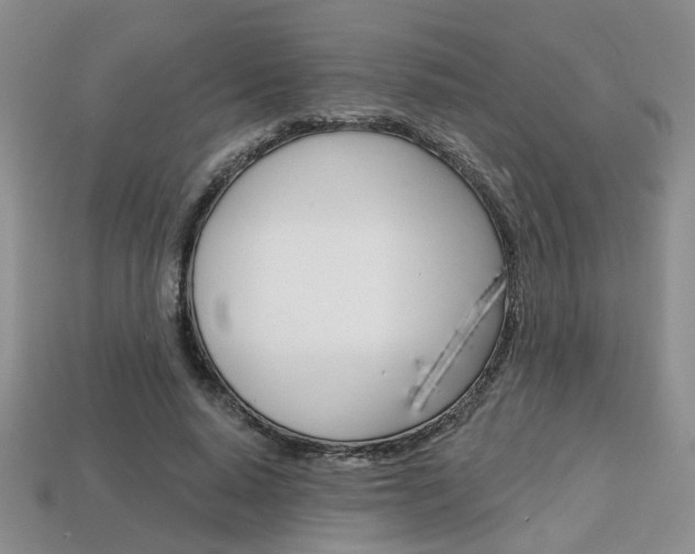X0000113860640200909241026