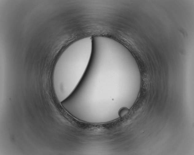 X0000113860642200909241026