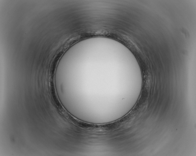 X0000113860643200909241026