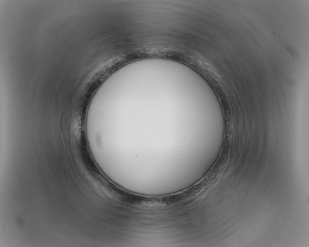 X0000113860644200909241026
