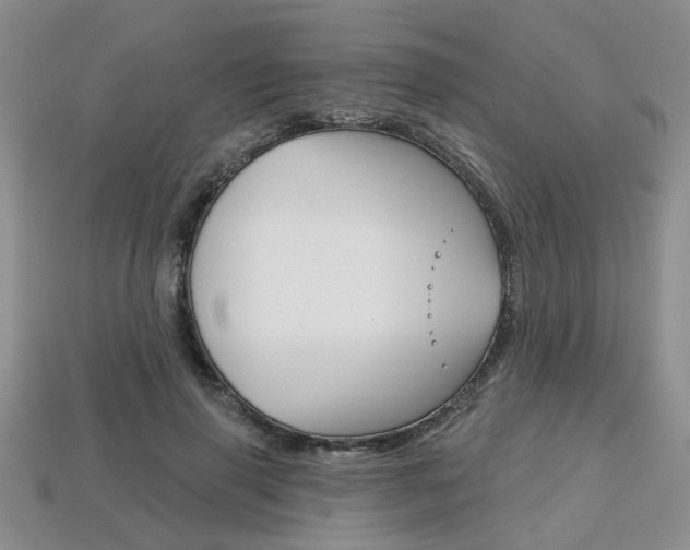 X0000113860645200909241026