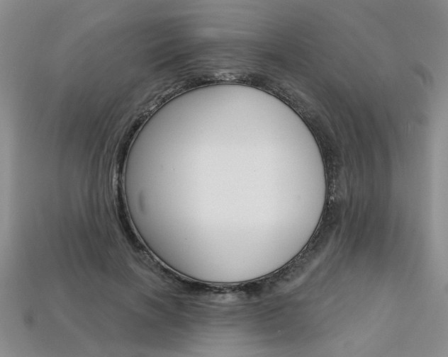 X0000113860646200909241026