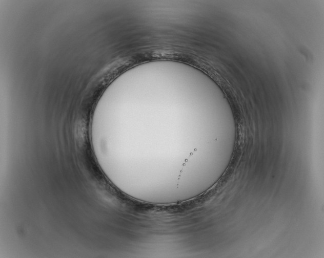 X0000113860648200909241026